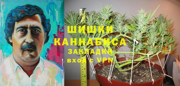 дживик Гусь-Хрустальный