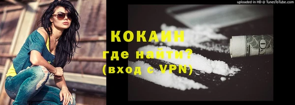 дживик Гусь-Хрустальный