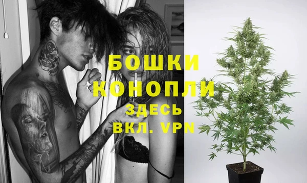 дживик Гусь-Хрустальный