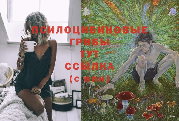 jwh Гусиноозёрск