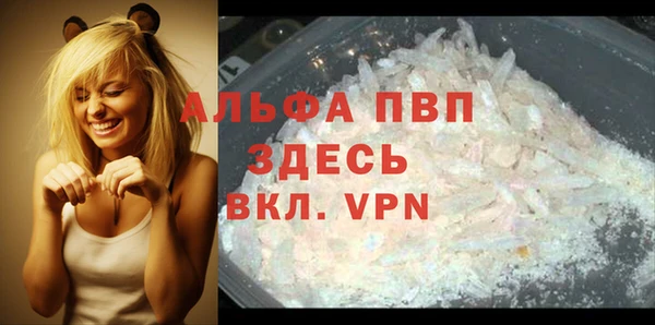 дживик Гусь-Хрустальный