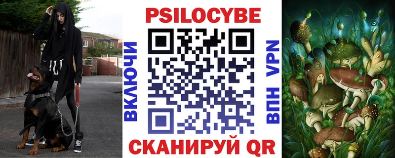 Псилоцибиновые грибы Psilocybine cubensis  Купить  Кинешма 